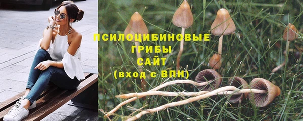 крисы Верея