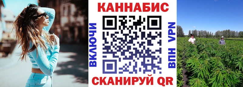 Купить где  Каменка  Канабис индика 
